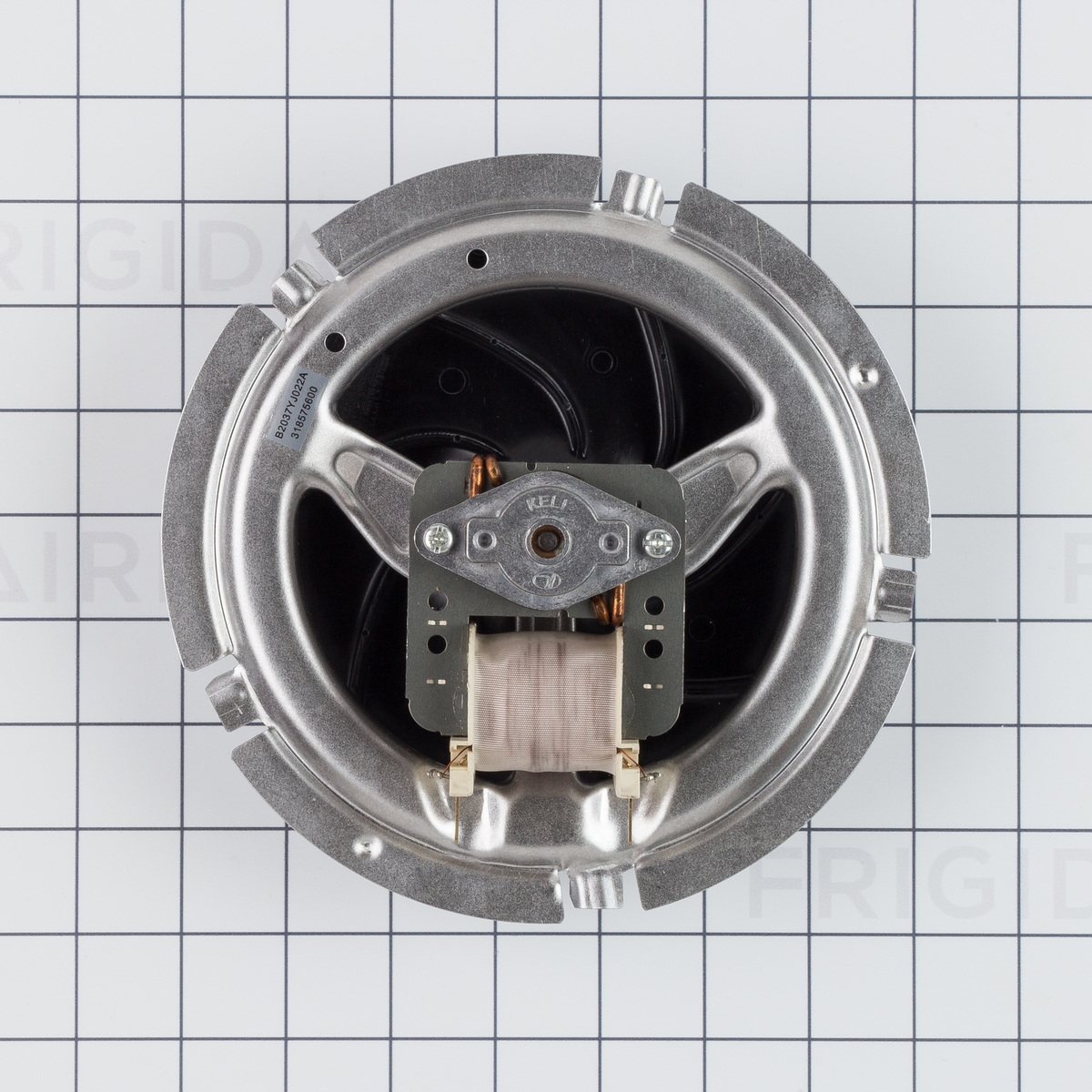 GE 318575600