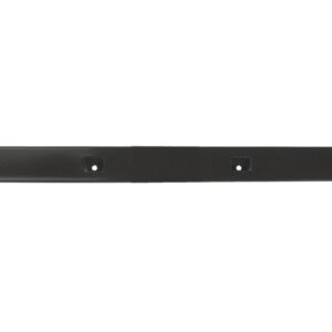 GE WS01A02838