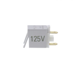 GE WS01F01702