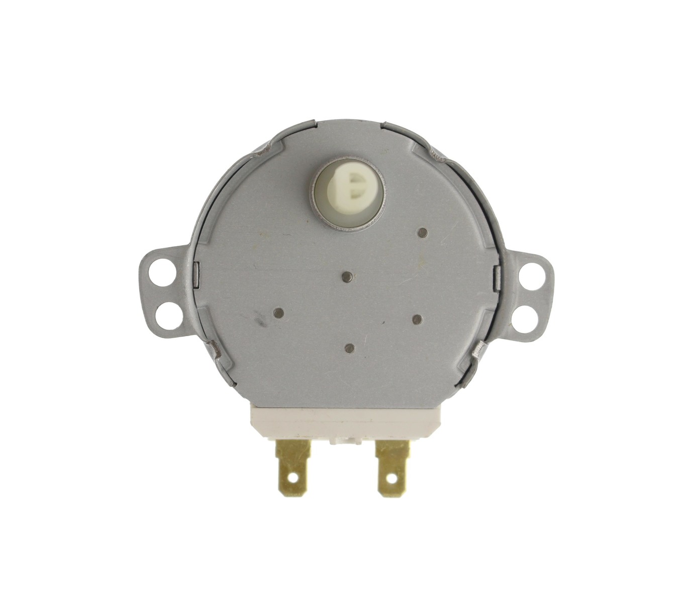 GE WG04F10198