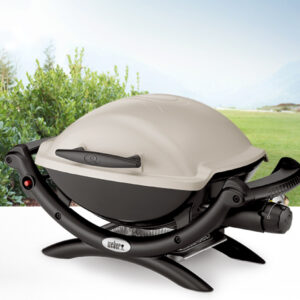 Weber 50060001