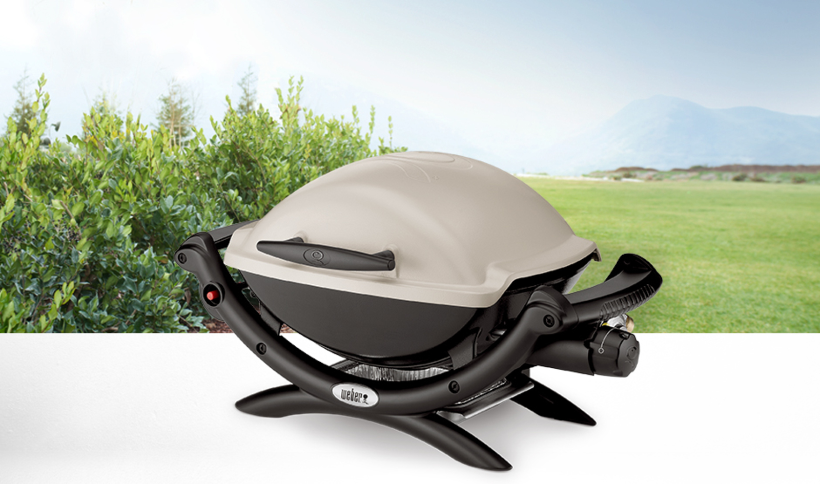 Weber 50060001