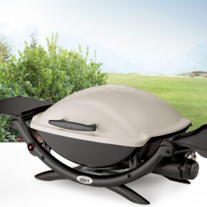 Weber 53060001