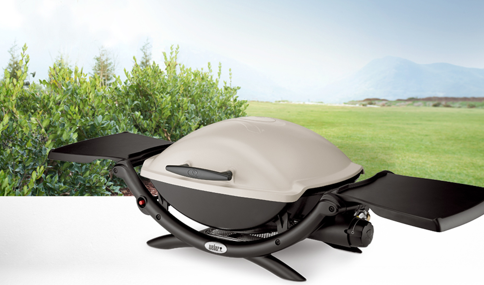 Weber 53060001
