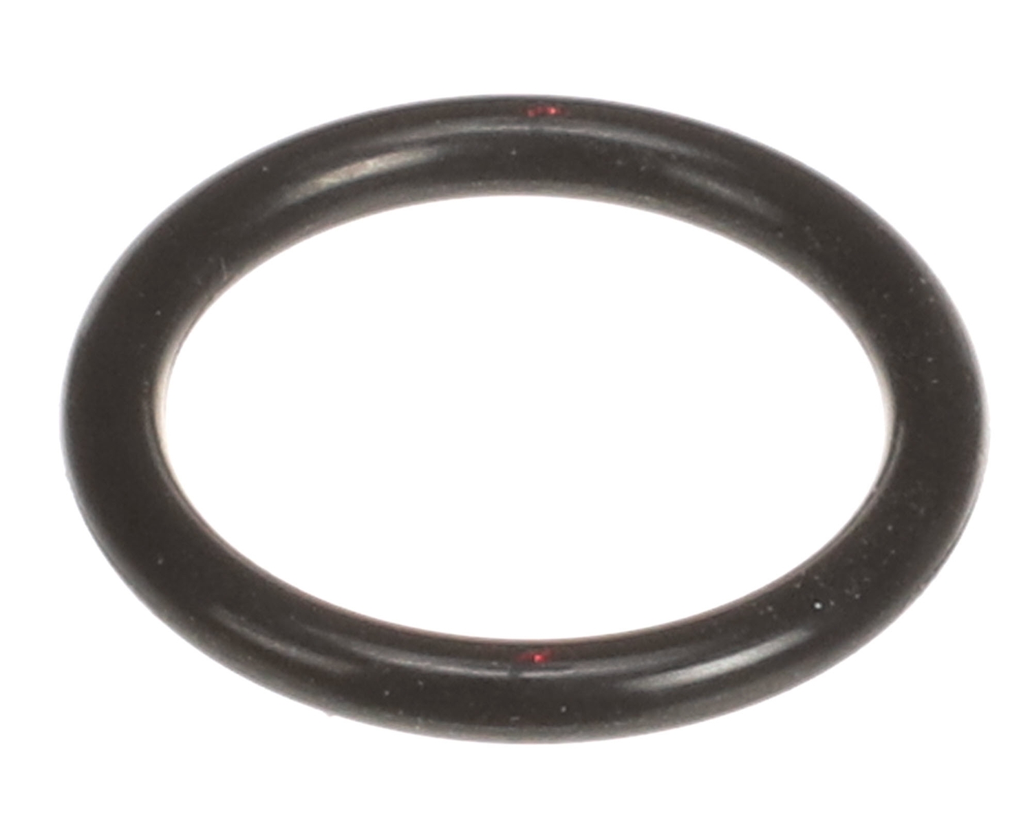 Rinnai 109000252