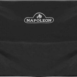 Napoleon 61501