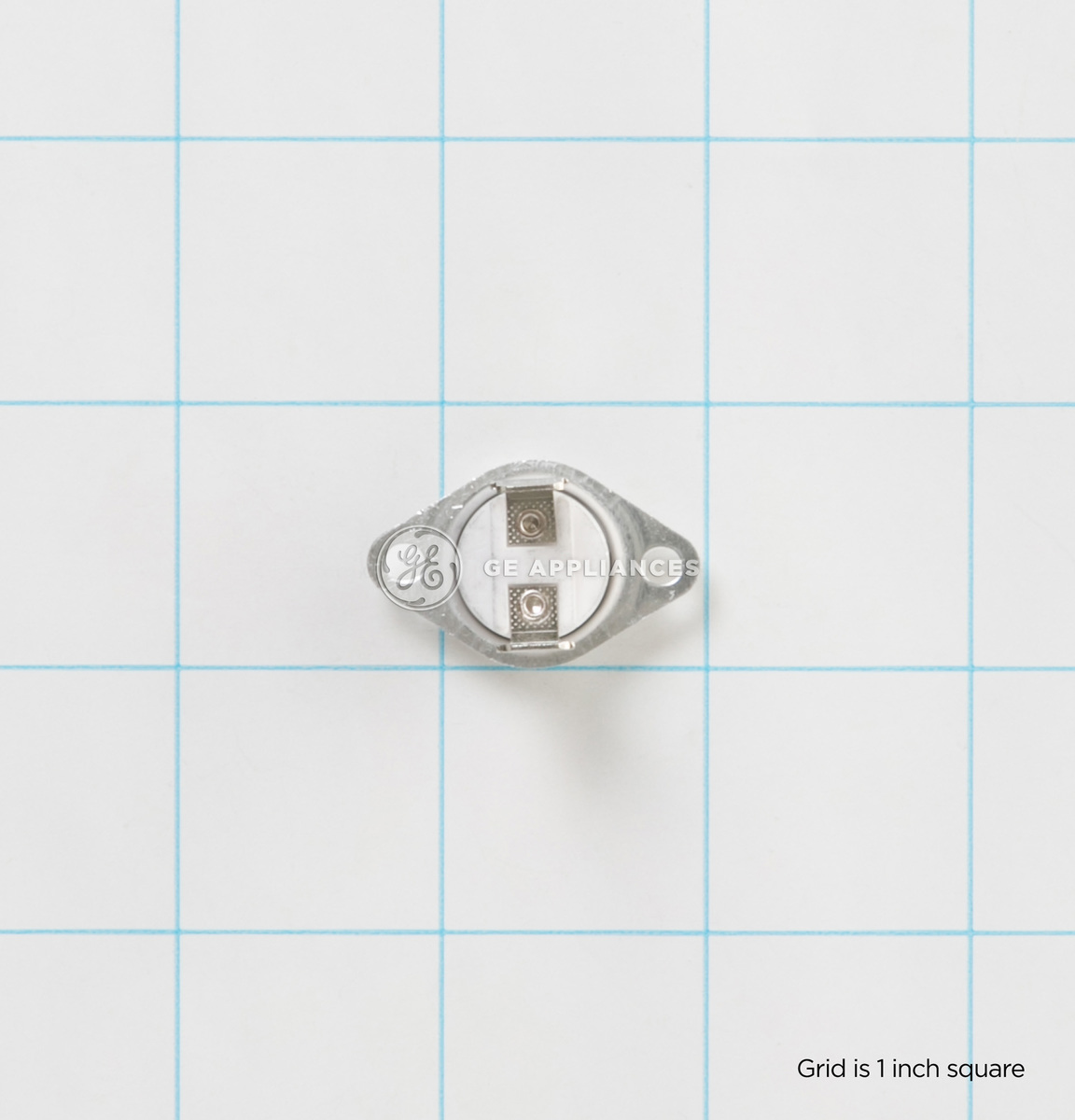 GE WG04F06204