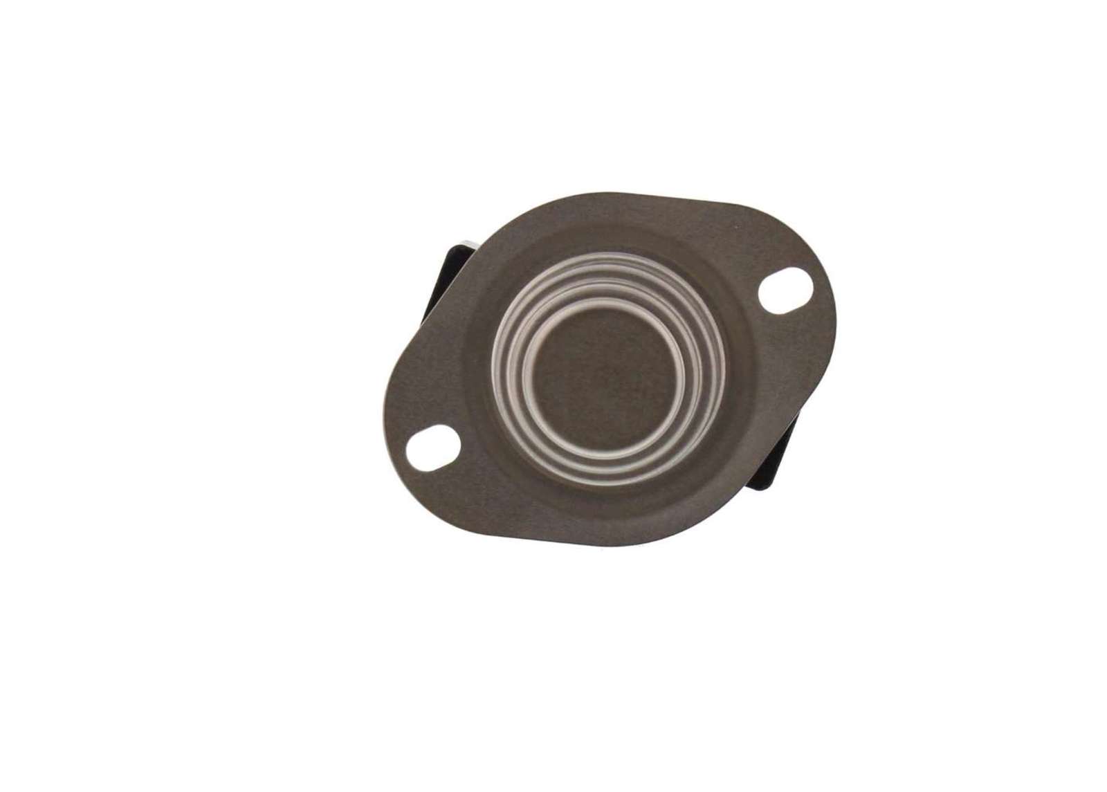 GE WG04F01199