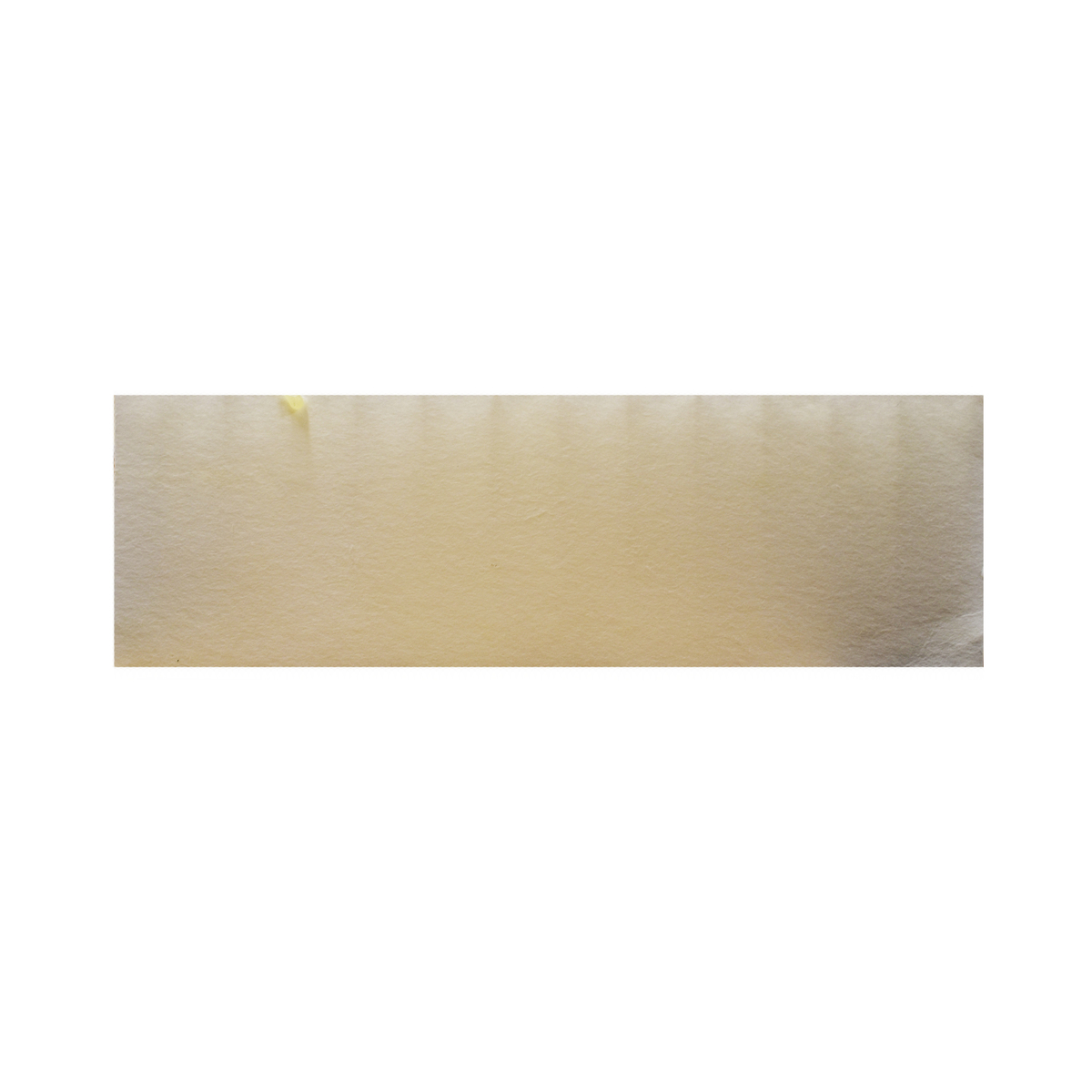 Essick Air 1043CN