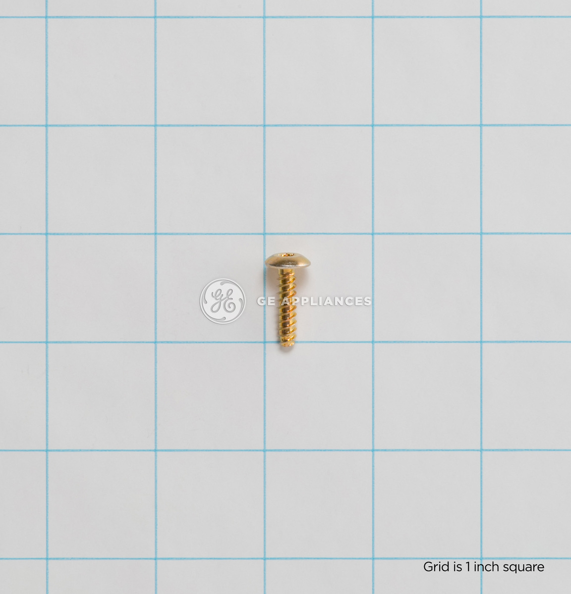GE WW01A00063