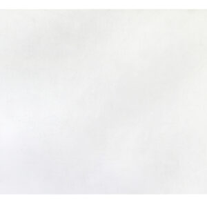 GE WS01L00802