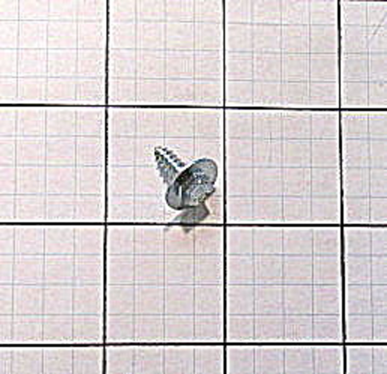 Frigidaire 241500303