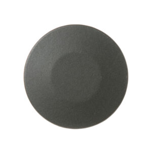GE WG02F00199